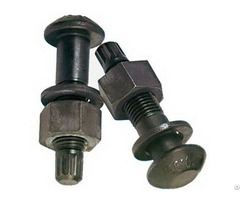 Tor Shear Type High Strength Bolt