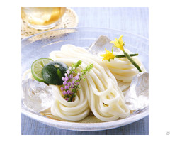 China Organic Fresh Udon Noodles