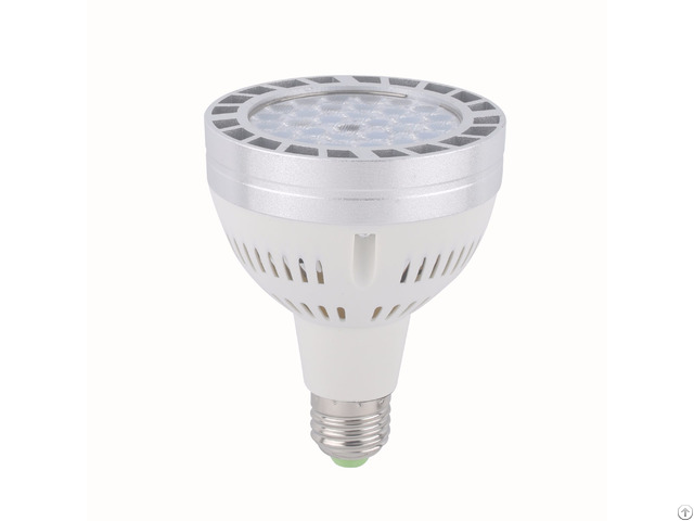 Led Par30 Spotlight