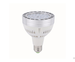 Led Par30 Spotlight