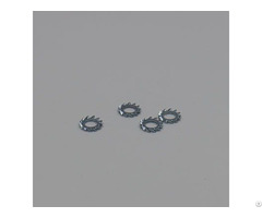 Stainless Spring Steel External Tooth Lock Washer Die Casting