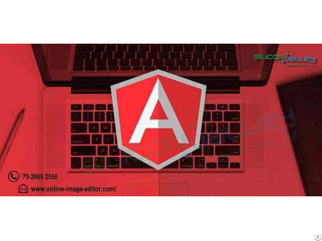 Angularjs Development Services