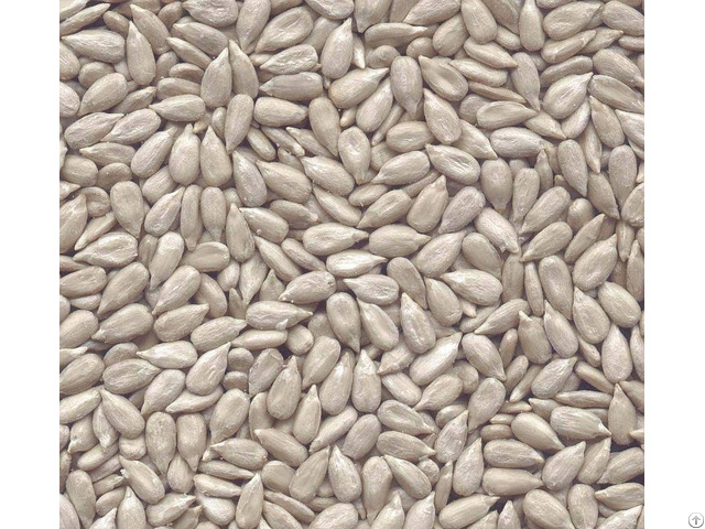 Hulled Sunflower Seeds Kernels Bakery Grade