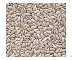 Hulled Sunflower Seeds Kernels Bakery Grade