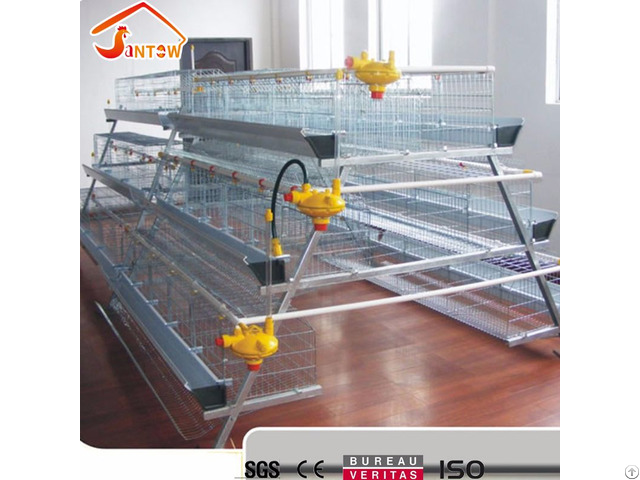 A Type Chicken Cage For Sale