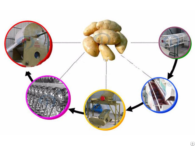 Potato Starch Manufacturing Plant