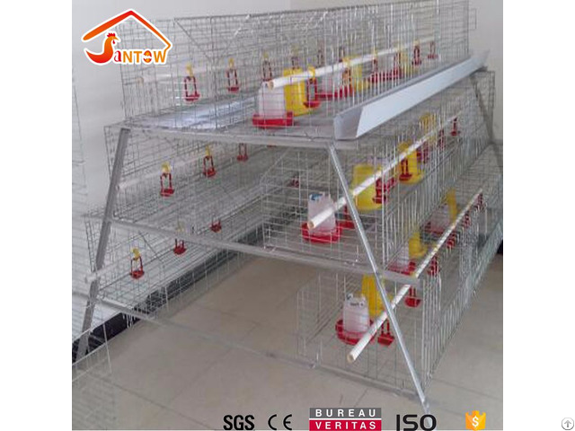 Broiler Chicken Cage Design