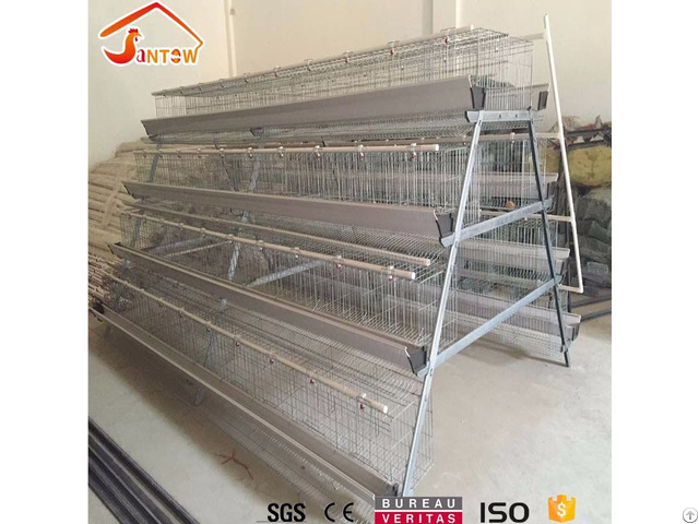 Automatic Chicken Layer Cage In Philippines