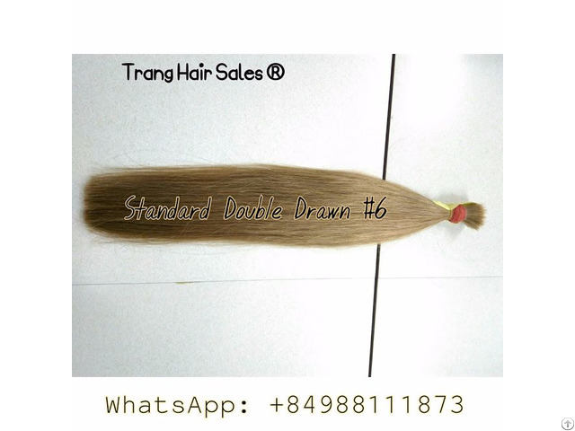 Standard Double Drawn Remy Hair Best Wholesale Price