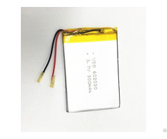 Lipolymer Battery