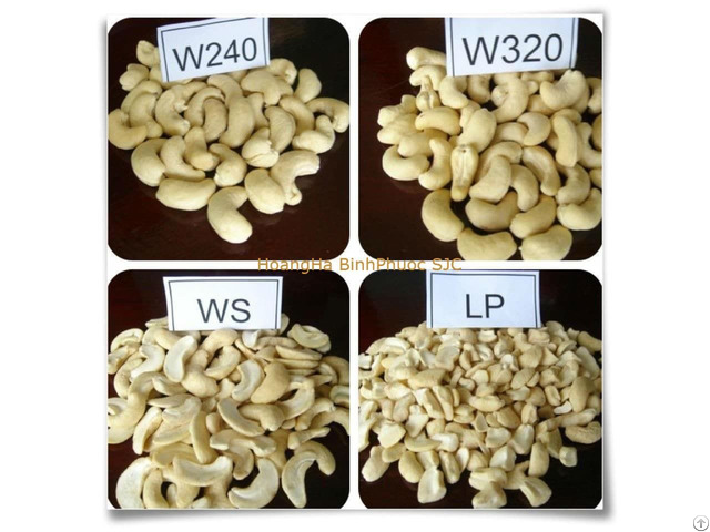 Cashew Nuts And Kernels W240 W320 Ws Lp