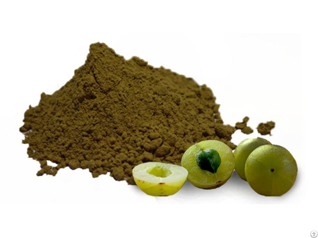 Amla Dry Powder Exporters India