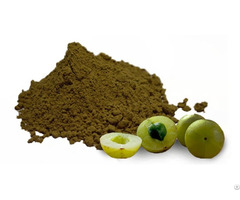 Amla Dry Powder Exporters India