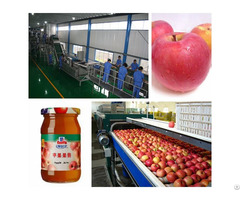 Apple Jam Processing Line