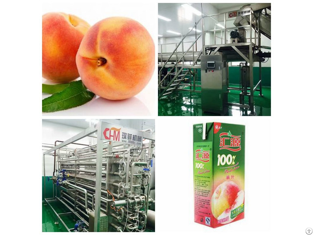 Peach Juice Processing Line