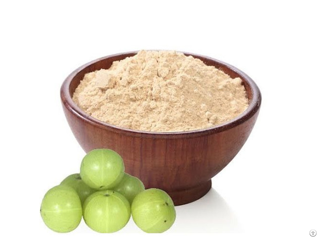 Indian Amla Powder Exporters