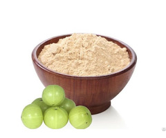 Indian Amla Powder Exporters