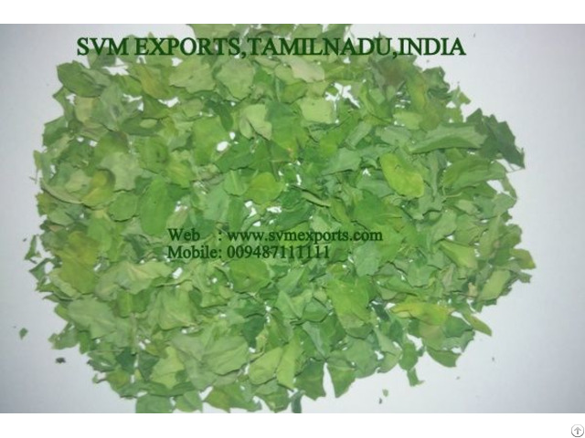 Higenic Moringa Dry Leaves Exporters India