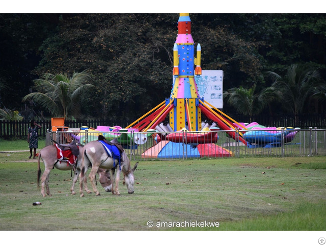 Self Control Plane Amusement Rides For Sale