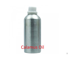 Calamus Essential Oil