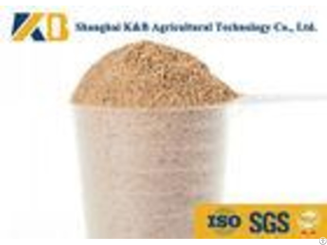 Oem Brown Rice Powder Animal Feed Products Well Balanced Amino Acid Profile