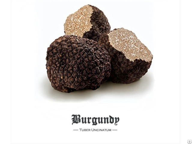 Fresh Truffles