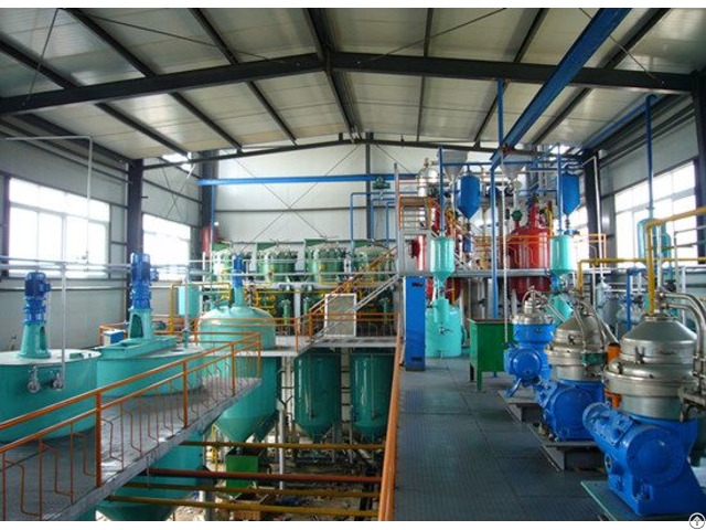 Doing Group Palm Oil Refining Machine