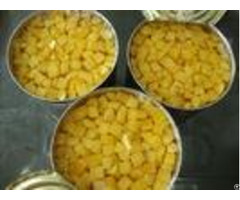 Anti Free Radicals Canned Yellow Peach Fruit Thick Flesh Without Seed