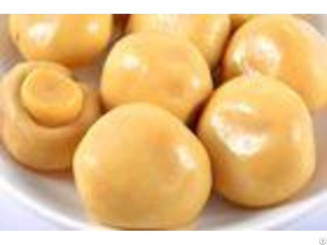 200g High Grade Canned Champignon Mushroom Pickled Mushrooms Canning
