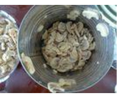 Various Specifications Canned Sliced Button Mushroom No Artificial Additives