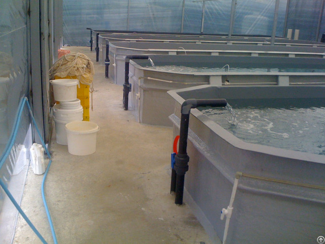 Aquaculture 