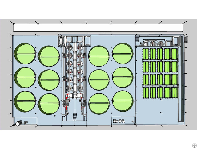 Ras System