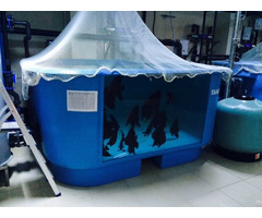 Aquarium Tanks