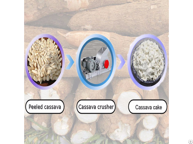 Cassava Rasper For Starch Production