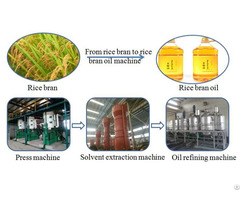 Rice Bran Oil Extraction Plant For Sale