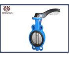 Rubber Seated Wafer Butterfly Valve Cast Iron Dn50 With Handle Operation