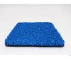 Pe Fibrillated 10 Mm Gym Blue Artificial Grass Crossfit 8800 Dtex Non Infill