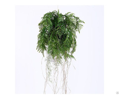 Plastic Hanging Ferns