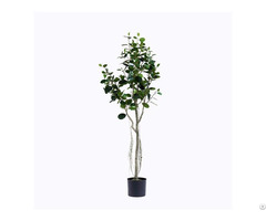 Plastic Ficus Microcarpa Tree