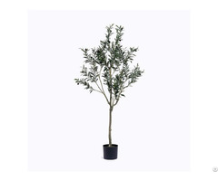 Silk Single Trunk Olive Tree