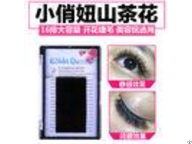 Upgrade 3d Eyelash Extensions Faux Mink Eyelashes Korean Pbt Material