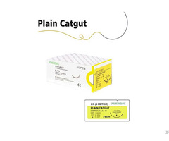 Plain Catgut Sutures