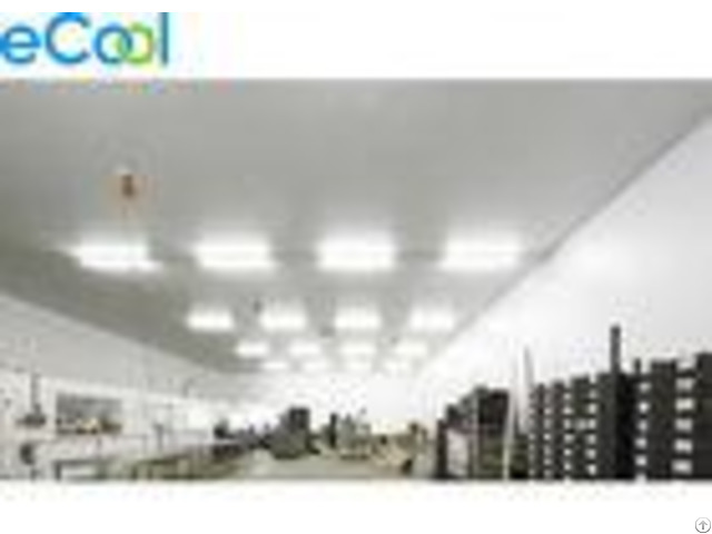 Epc11 0 4 F Low Temperature Cold Room Warehouse For Packed Frozen Food