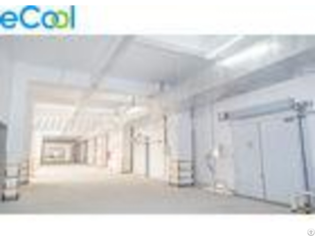 Frozen Fishes And Meat Cold Room Warehouse With Fire Proof Level B2 Panel