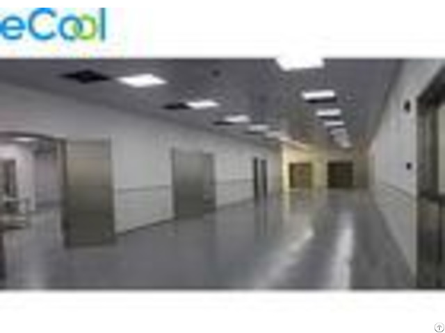 Modern Facility Low Temperature Cold Storage For Pork Processing Factory