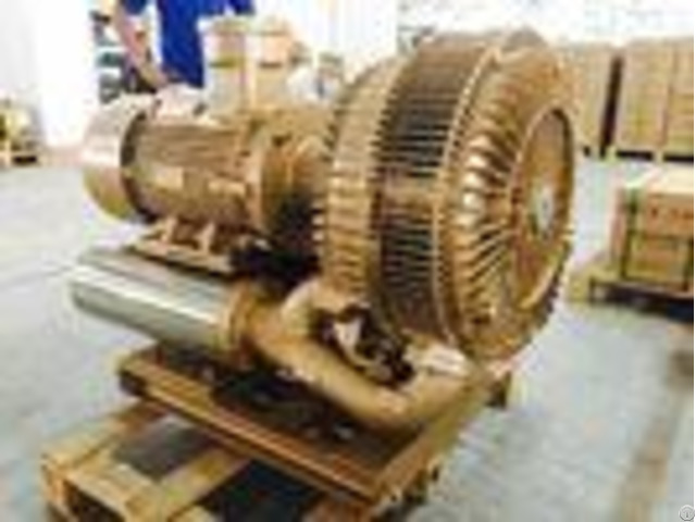 22kw Big Air Flow Explosion Proof Vacuum Pump High Pressure Low Noise