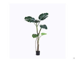 Artificial Cheese Plant