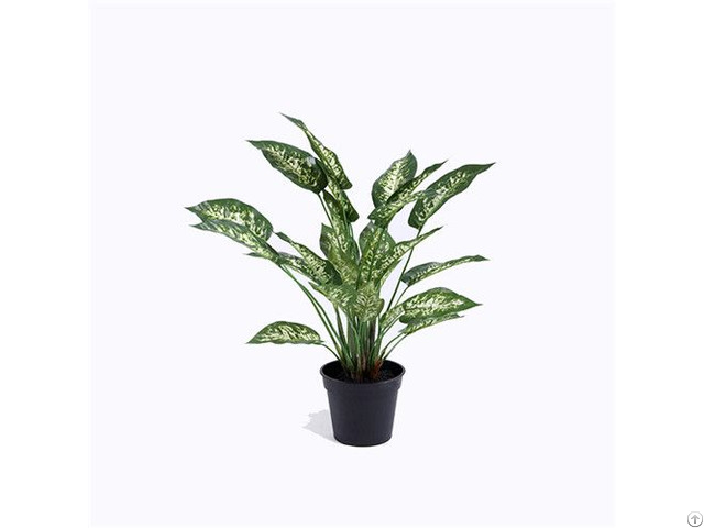 Artificial Dumb Cane