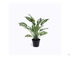 Artificial Dumb Cane