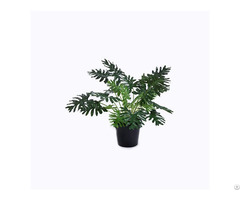 Artificial Split Philo Tree